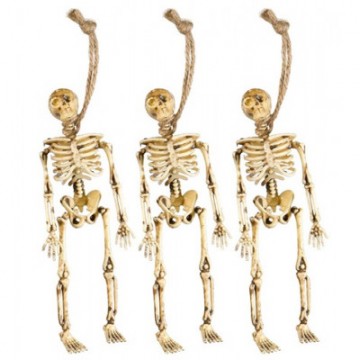 Set de 3 Esqueletos