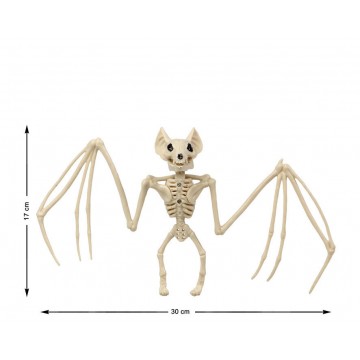 Esqueleto Morcego