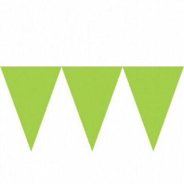 Bandeirola de Papel Kiwi