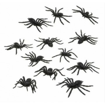 12 ARANHAS