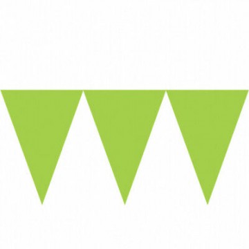 Bandeirola de Papel Kiwi