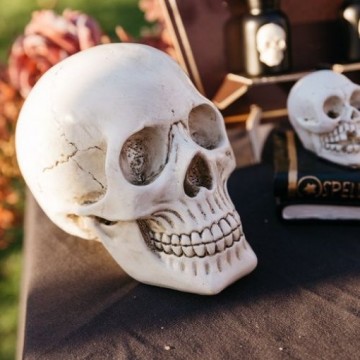 Caveira Decorativa Resina...