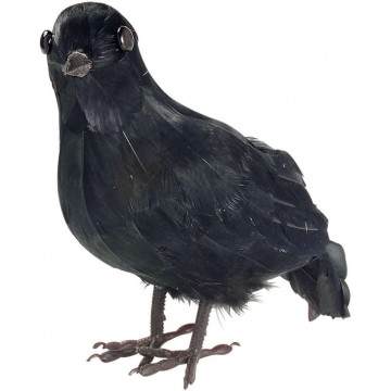 Corvo Negro